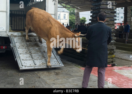 Marché du bétail à Gontan CHEMIN DE ST JACQUES CAMINO DE SANTIAGO ou le Nord ou Route Côtière région Galice Espagne Banque D'Images