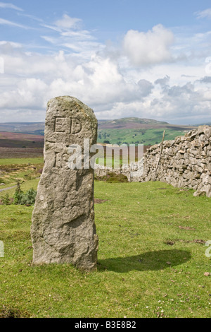 Une vieille borne sur Grinton Moor, Swaledale, Yorkshire du Nord Banque D'Images