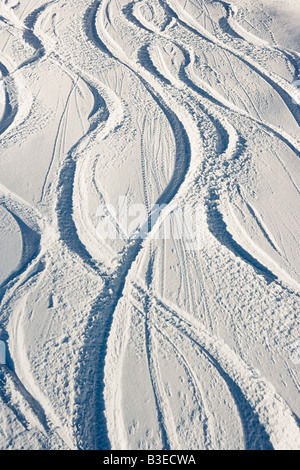 Traces dans la neige Banque D'Images