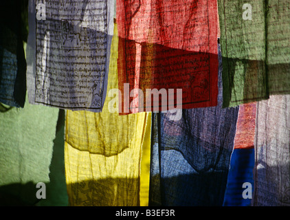 Drapeaux de prières Banque D'Images