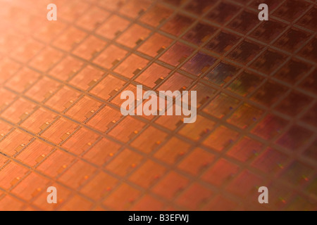 Close up of micro chip wafer Banque D'Images