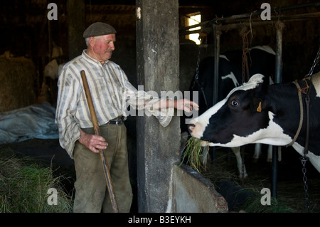 Agriculteur dans le village de Olveiroa CHEMIN DE Saint-jacques ou CAMINO DE SANTIAGO - la région Galice Espagne Banque D'Images