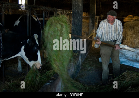 Agriculteur dans le village de Olveiroa CHEMIN DE Saint-jacques ou CAMINO DE SANTIAGO - la région Galice Espagne Banque D'Images