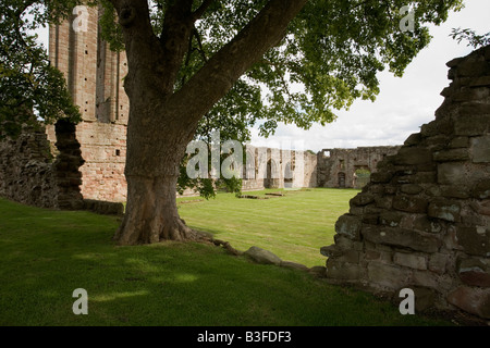 Vue sur le mur est passé à la maison Chapitre le transept sud à l'abbaye de Croxden Staffordshire Banque D'Images