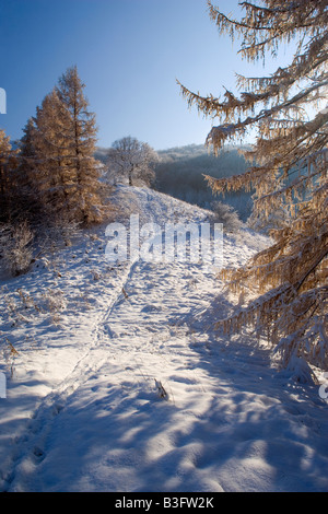 Sentier dans la neige étroit sentier menant à travers des paysages couverts de neige lorsque l'hiver Schwaebische Alb Allemagne Banque D'Images