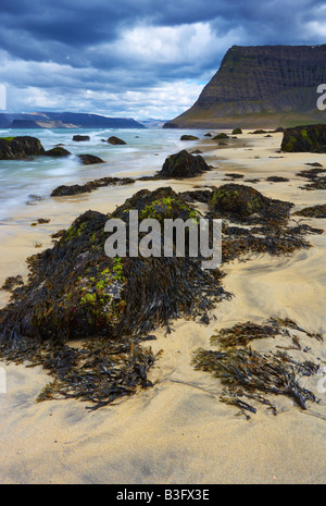 Scène de plage à l'ensemble de l'Islande dans les Fjords de l'Ouest Arnarfjordur Banque D'Images