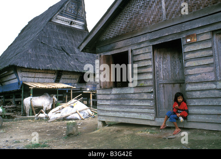 Karo batak scène house village lingga sumatra indonésie Banque D'Images