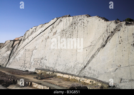 Les empreintes de dinosaures à la Cal Orko Montagne dans une usine de ciment carrière près de Sucre, Bolivie. Banque D'Images