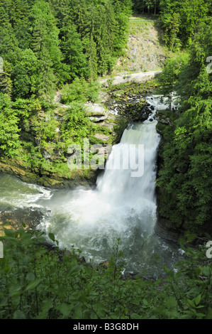 Saut de la cascade d'or et sur le Doubs Banque D'Images