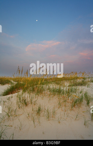 Le soleil se lève sur la mer de l'avoine et des dunes de sable vu de Cumberland Island. Georgia USA. Banque D'Images