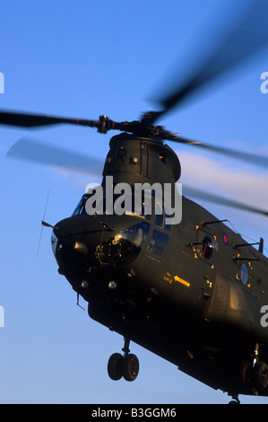 Royal Air Force hélicoptère Chinook de Boeing Banque D'Images