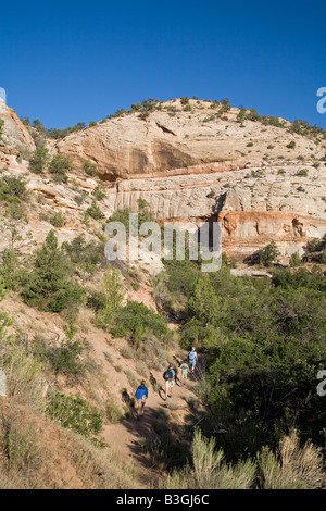 Calf Creek Canyon Banque D'Images