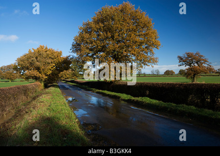 Country Road, Calendrier Lane, près de Granby, Northamptonshire, England, UK Banque D'Images