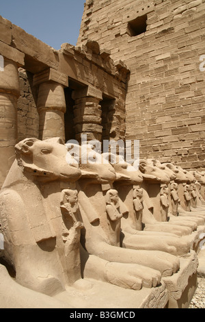 Sphinx tête Ram Temple de Karnak Egypte Banque D'Images