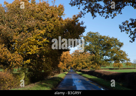 Country Road, Calendrier Lane, près de Granby, Northamptonshire, England, UK Banque D'Images