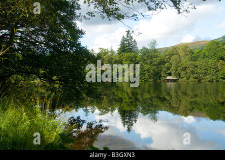 Un hangar à bateau sur le Loch Ard, avec les arbres en fleur d'été. Les Trossachs, Ecosse, Royaume-Uni Banque D'Images