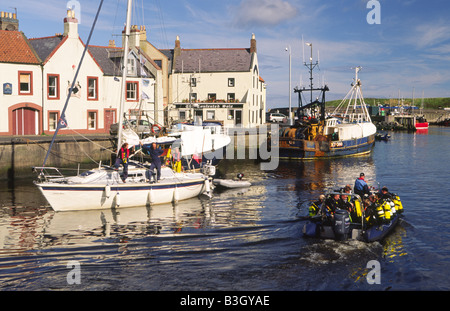 Un yacht entrant dans la pittoresque ville de pêcheurs de picuresque Port Eyemouth Berwickshire Scottish Borders Ecosse UK Banque D'Images