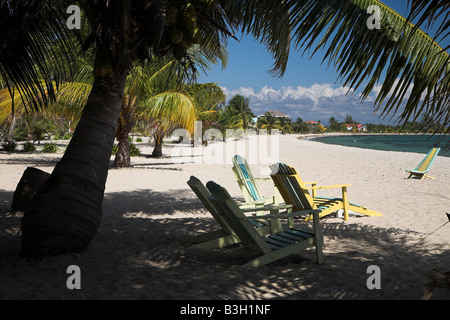 Les transats à l'ombre d'un palmier au plage de Placencia, Belize, en Amérique centrale. Banque D'Images