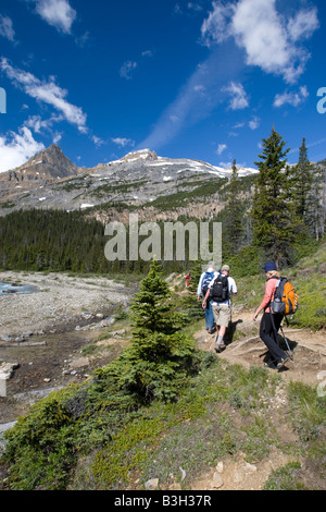 La randonnée vers le glacier Bow dans le parc national de Banff Banque D'Images