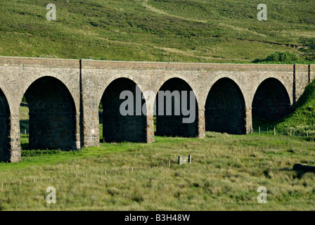 Dandry Mire, Moorcock ou sur le Viaduc Ferroviaire Murchison, près de Garsdale, Cumbria, Royaume-Uni. Banque D'Images