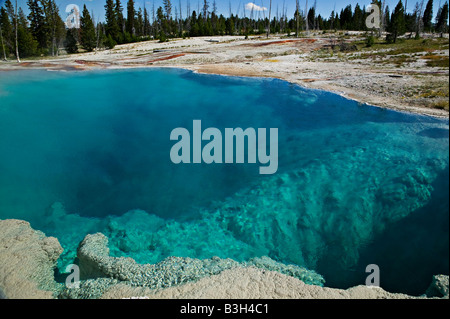 Hot springs Parc National de Yellowstone, Wyoming Banque D'Images