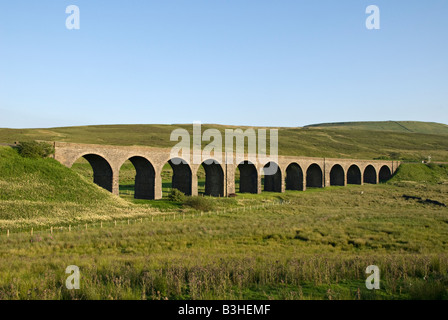 Dandry Mire, Moorcock ou sur le Viaduc Ferroviaire Murchison, près de Garsdale, Cumbria, Royaume-Uni. Banque D'Images