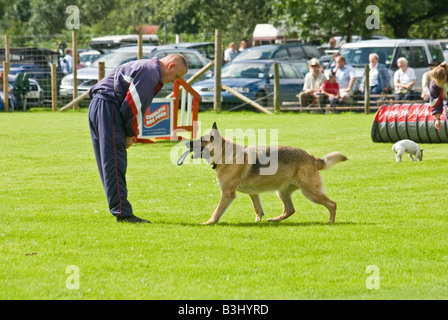 L'équipe de démonstration canine Chesire Banque D'Images