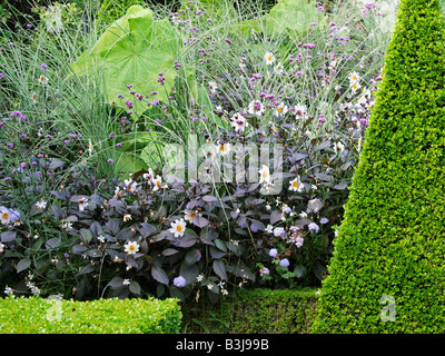 Et topiaires frontière fleur jardin hollandais east ruston Old Vicarage garden Norfolk Banque D'Images