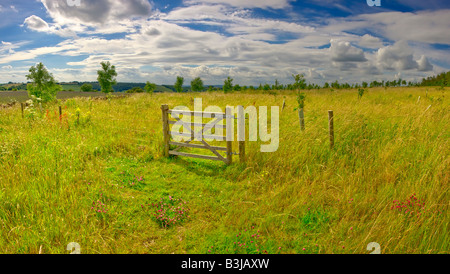 Une porte dans le milieu des terres agricoles des champs avec une plantation de jeunes arbres Banque D'Images