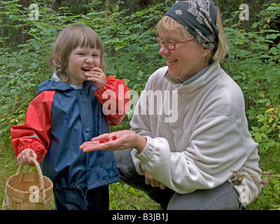 Femme d'âge moyen avec un petit enfant dans l'âge de 3 ans s'amuser par cueillette en forêt les framboises sucrées manger Banque D'Images