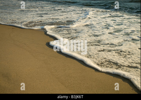 Les vagues de la côte baltique, la vaisselle sur une plage à Nida dans le Parc National de Courlande Lituanie Banque D'Images