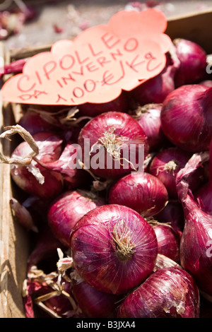 Oignons rouges en vente sur un étal du marché en Italie Banque D'Images