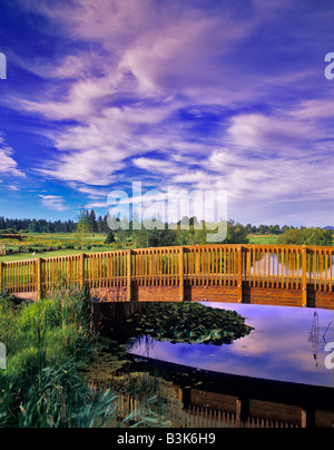 Passerelle avec nuages à Sunriver Resort Oregon Banque D'Images