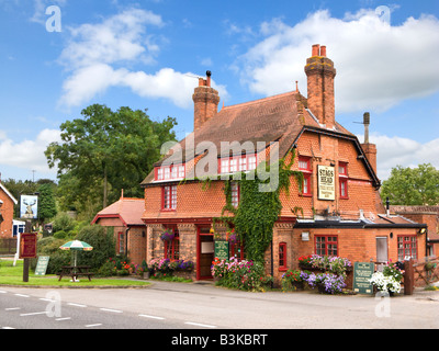 Pub Anglais traditionnel de Burwell, Lincolnshire, Angleterre Royaume-uni - Le Stags Head country pub Banque D'Images