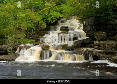 Cascade chute d'eau dans la rivière Swale près de Keld, Upper Swaledale, Yorkshire Dales National Park, England UK Banque D'Images