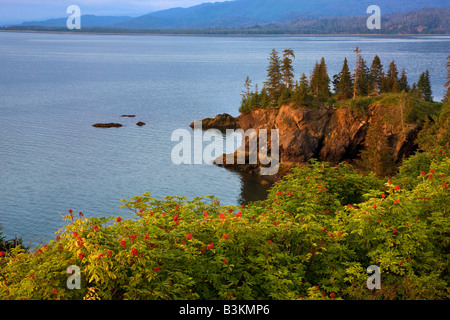 Près de la baie Kachemak flétan Cove Alaska Homer Banque D'Images