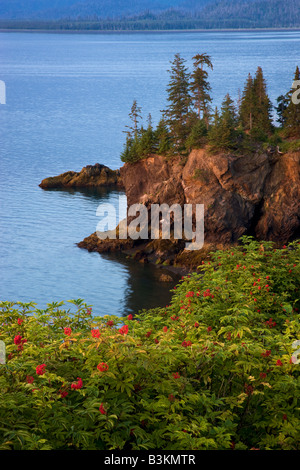 Près de la baie Kachemak flétan Cove Alaska Homer Banque D'Images