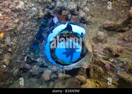 Un plongeur de ses pairs par un hublot sur le Carnatic SS naufrage à Sha'ab Abu Nuhas, partie de la Mer Rouge Egyptienne Banque D'Images