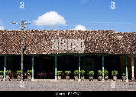 Une terrasse bordée de figuiers en pot et la façade d'un bâtiment colonial sur la place principale de Granada Nicaragua Banque D'Images