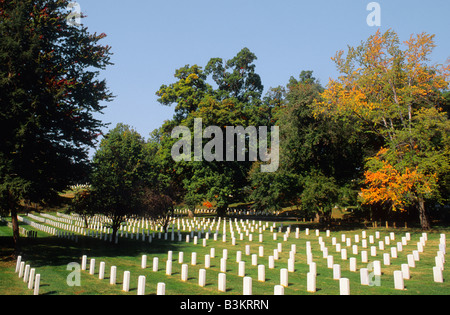 Virginia Arlington Arlington National Cemetery en automne les rangées de tombes USA Banque D'Images