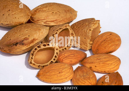 Un gros plan des amandes dans leurs coquilles, d'amande et des amandes coques fissurées Banque D'Images