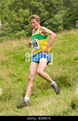 Un fellrunner à Grasmere show Banque D'Images