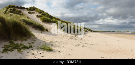 Dunes de sable de Beadnell Bay Northumberland Royaume-Uni Banque D'Images