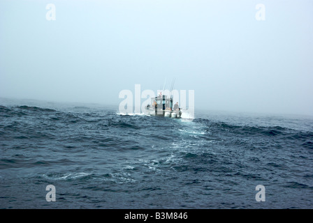 Angler à bord d'un bateau de pêche de sport jouant un saumon dans des eaux agitées et brouillard à Swiftsure dans l'Océan Pacifique Banque D'Images