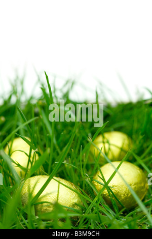 Oeufs de Pâques dans l'herbe avec un fond blanc Banque D'Images