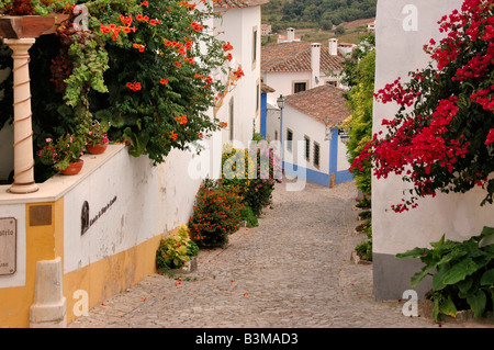 Une scène de rue des fleurs et maisons de la ville d'Obidos mediaevel préservé, au Portugal. Banque D'Images