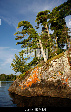 Côte Rocheuse avec lichen orange Lake, parc Natioanal, Voyageurs Kabetogama Banque D'Images