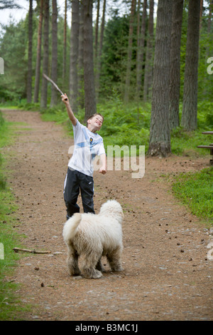 Jeune garçon jouant fetch avec son animal labradoodle chien Banque D'Images