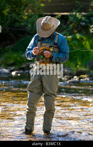 Pêche à la mouche, à vail au Colorado Banque D'Images