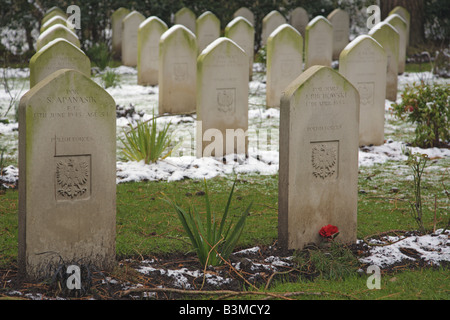 Les pierres tombales du cimetière polonais Banque D'Images